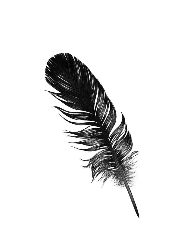 black, feather, mysterious-4567519.jpg